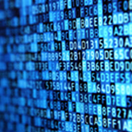 APPLICATION SECURITY